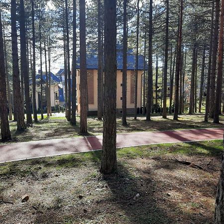 Apartament Zlatibor M Zewnętrze zdjęcie