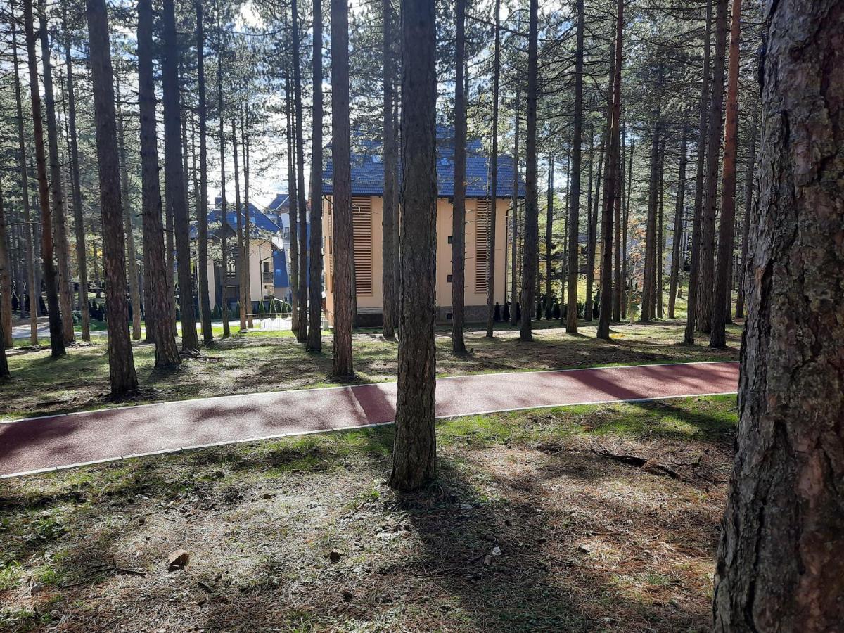 Apartament Zlatibor M Zewnętrze zdjęcie