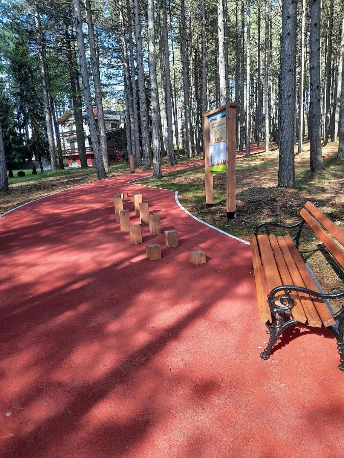 Apartament Zlatibor M Zewnętrze zdjęcie