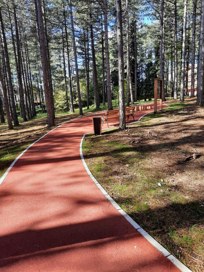 Apartament Zlatibor M Zewnętrze zdjęcie
